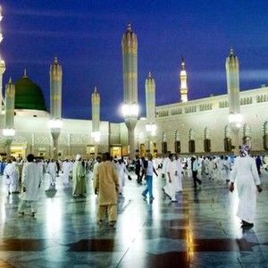 Meet your Posher, Robin